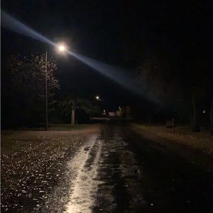 Meet your Posher, Reese